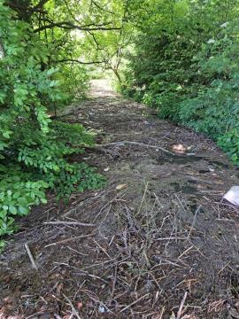 Čiščenje naplavin - odpadki ne sodijo v struge. Foto: HNG